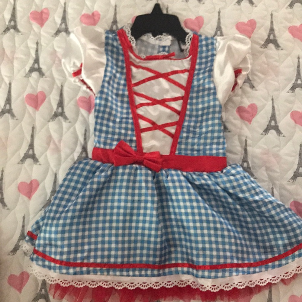 Dorothy  Halloween costume with shoes & basket